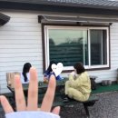 통일동산펜션 이미지