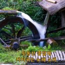 푸른잔디