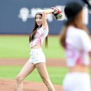 스텔라 - 해운대구 송정광어골로 64 | 스텔라