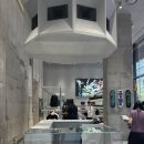 안드레아패션 | [트렌드 LAB] Carhartt WIP 홍대점 방문후기