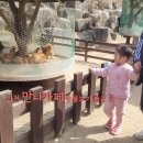 문원 약수터 | 경기도 아이랑 가기 좋은 곳 _ 과천 만나카페