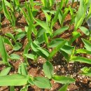 장곡농장 이미지