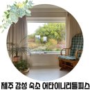 어타이니리틀피스 | [제주 가성비 감성 숙소] 어타이니리틀피스 제주 서쪽 서귀포 감성 독채 숙소