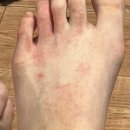 화인피부과화인비뇨기과의원 이미지