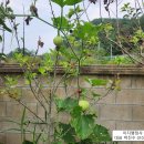 일등 행정사 사무소 이미지