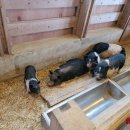 상하농장 이미지