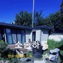 소솜,하루 이미지