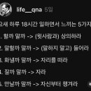 멍멍야옹 이미지