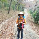 월봉사 - 1558 | 해파랑길 울산 8코스 탐방 후기(염포 삼거리~일산해변 12.6k)