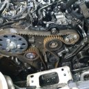 오거리카 이미지