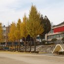 안성여자고등학교 이미지