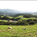 마동목장 이미지