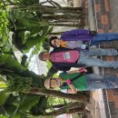 전남 함평 나비축제 이미지