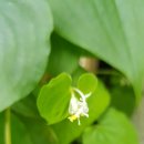 선암가든 이미지