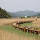 태백산맥거리1 이미지