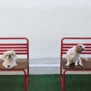 오파프부산 이미지