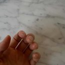 서현 카카오 검색결과