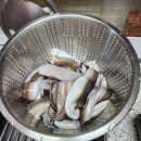 창원시 마산합포구 마산어시장 태양 장어, 장어 구매 후기
