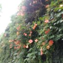 희망로534번길 이미지