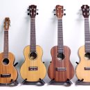 우쿨렐레 이미지