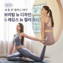 에어플렉스