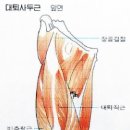 오렌지헬스&휘트니스 이미지