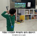 애플스크린골프(2) | 가정용 스크린골프 설치 필요 없는 파이골프 2 후기 명불허전 실내 골프 스윙 연습기 어린이 장난감