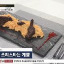쓰리스타 이미지