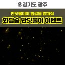 화담숲 반딧불이 이벤트 <반딧불이야 밤길을 밝혀줘> 방문 후기