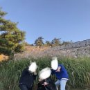 상오방1 네이버블로그