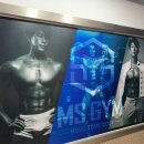 MS GYM 네이버블로그