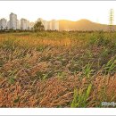 저녁나절 이미지