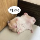 지민51 | 나의 길을 가면 언젠가 꿈이 나를 기다리겠지