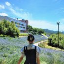 화순남산공원 공중화장실 이미지