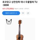맑은 선율, 우쿨렐레 이미지