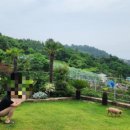 올리비아스테이 이미지