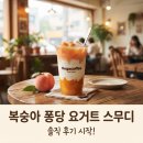 커피퐁당 - 송파구 올림픽로45길 19 | 메가커피 복숭아 퐁당 요거트 스무디 후기 다른 여름 메뉴와 비교해보면 어떨까요?