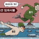 31 이미지