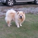 애개 하우스 이미지