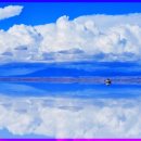 빛과 소금 이미지