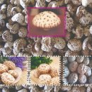 백화고버섯의 주 생산국인 중국의 백화고버섯 재배과정과 등급분류 기준. 이미지