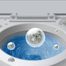 서현 동물병원 이미지