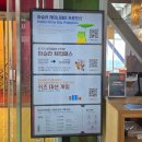 예술과땀 | 강릉 여행 하슬라아트월드 예술이라 노잼일 줄 알았는데 볼 만하네!(내돈내산 솔직후기)