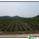 현순농장 이미지