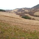 노송목장 이미지