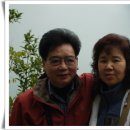 한미타올(주) Daum카페