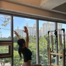 필라테스 본(BONE) 이미지