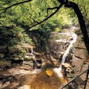 42번국도 이미지