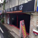 깜돌게코샵 | 또 새로운 식구가 생겼습니다_도마뱀친구들(Feat.깜돌게코샵)