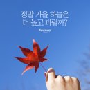가을하늘푸드